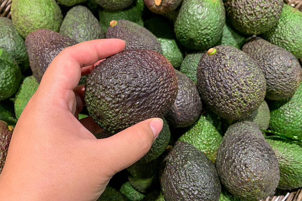 Dagelijks een avocado eten houdt je darmen gezond