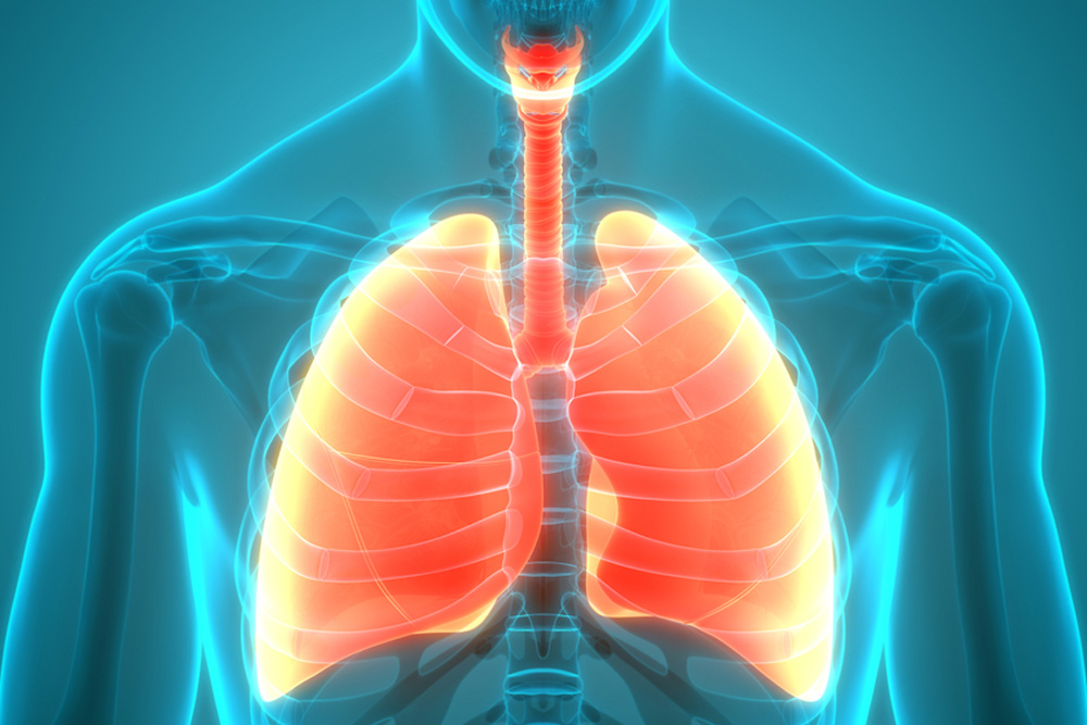 COPD beïnvloed door darmmicrobioom