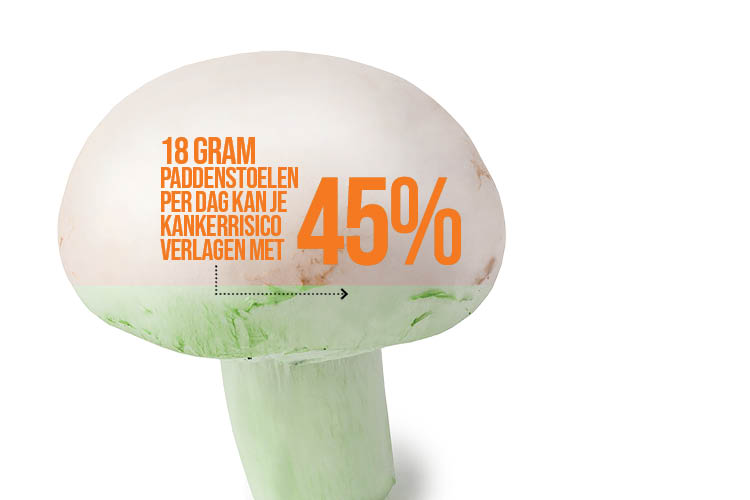 Paddenstoelen verlagen het kankerrisico