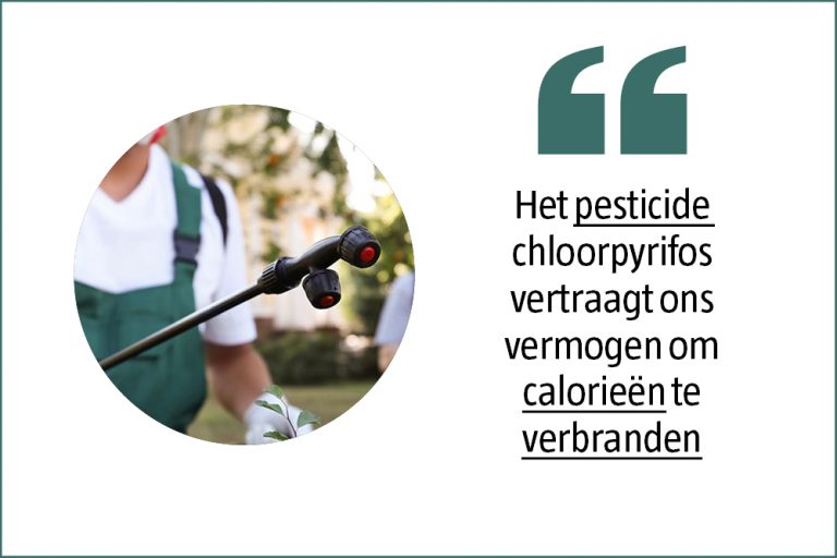 Raak je de kilo’s niet kwijt? Kan liggen aan de pesticiden op je groenten en fruit