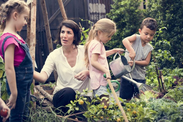 De schooltuin laat kinderen bewuster eten