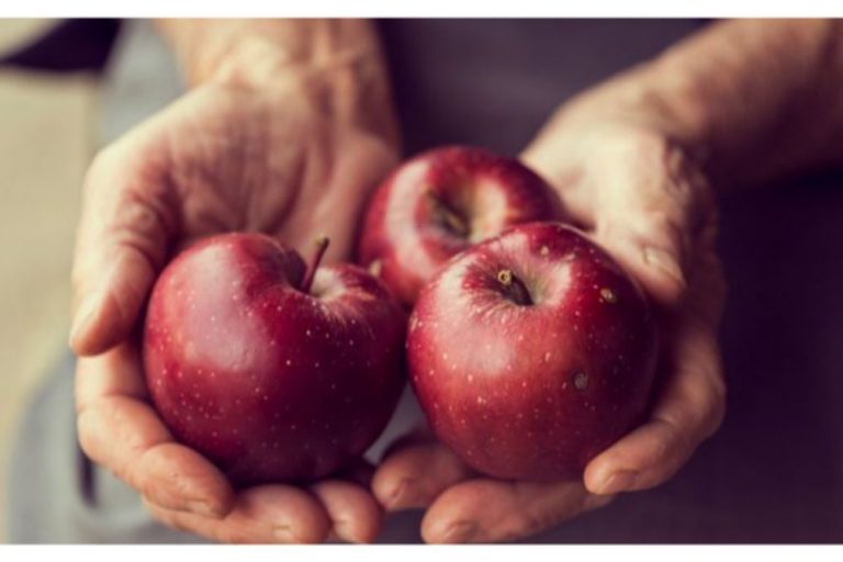 Voeding die tegen uw hersenen zegt: stop met snacken