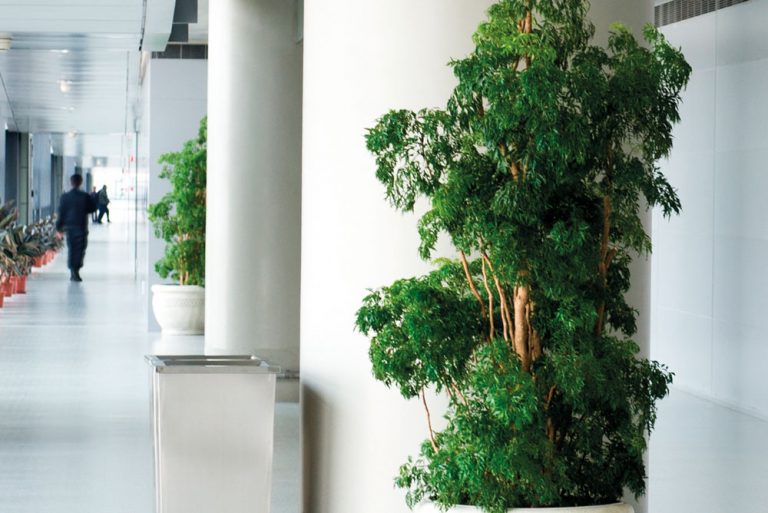 Groene ziekenhuizen ontspannen de patiënt
