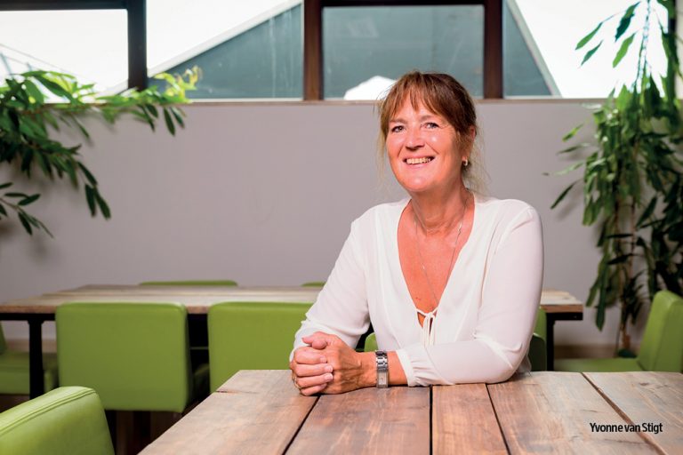 Systeemdenken in de geneeskunde