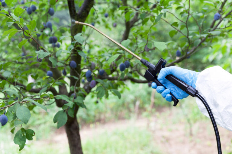 Achtergehouden studies: hersenschade door pesticiden