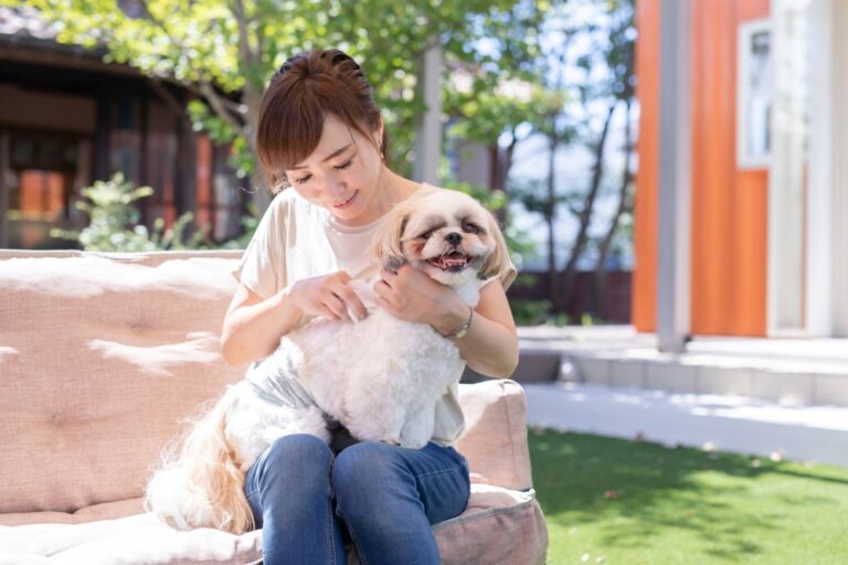 Recept: natuurlijk insectenbestrijdingsmiddel voor honden